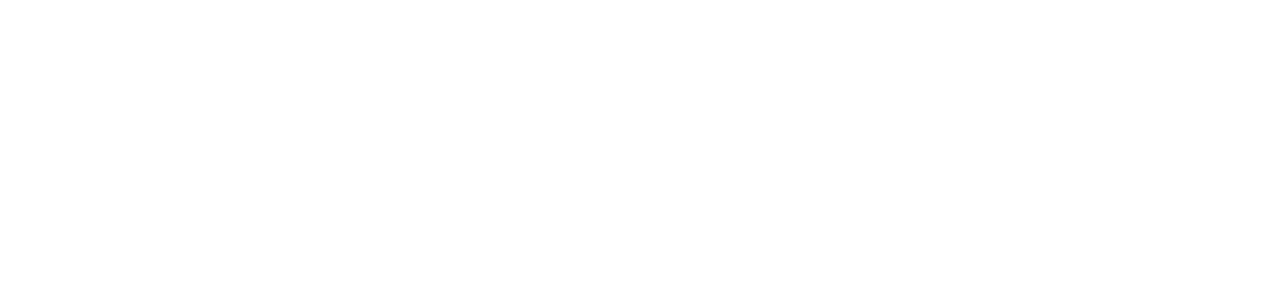 Asset 4 (1)